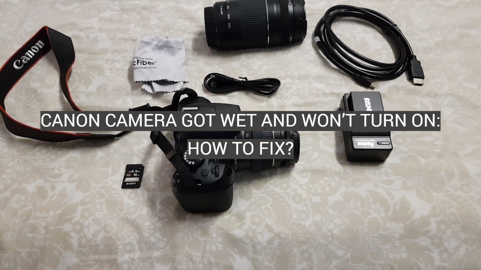 Canon Camera Got Wet and Won’t Turn On How to Fix? FotoProfy