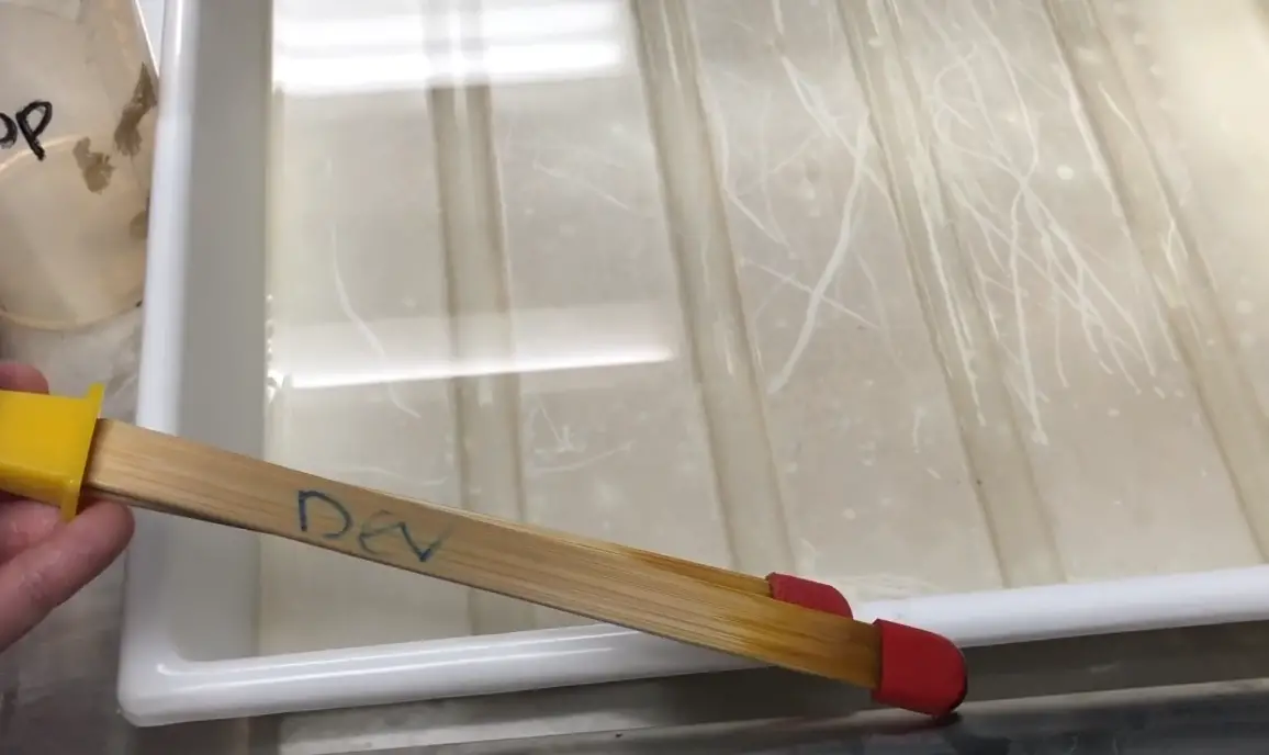 Darkroom Chemicals Everything You Should Know FotoProfy