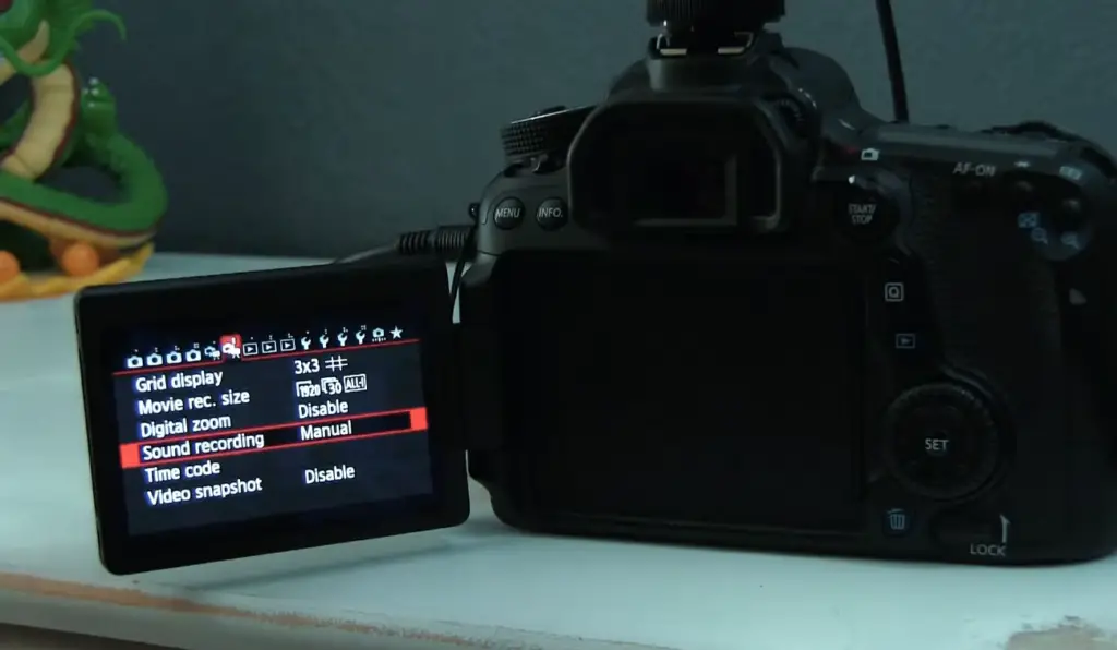 Does Canon EOS 70D Have An External Mic Input?