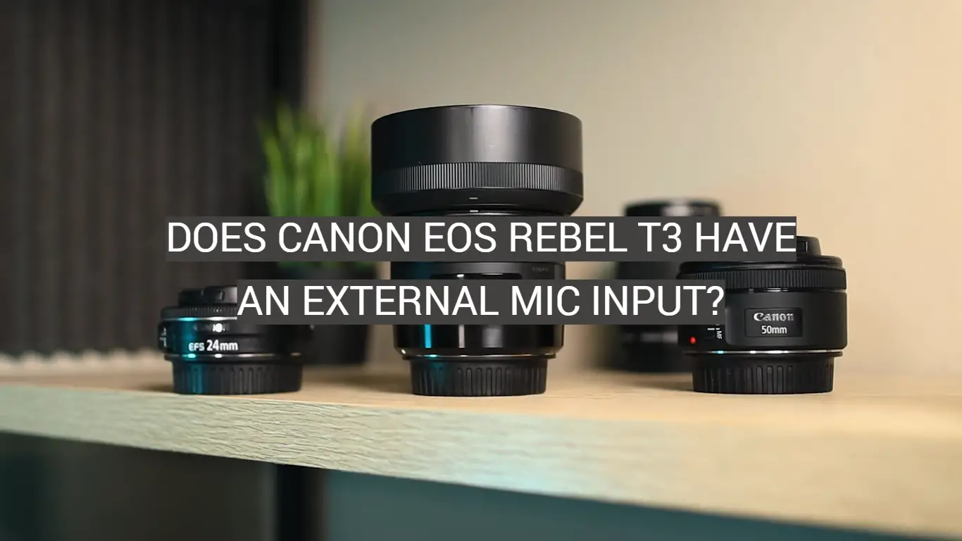 Does Canon EOS Rebel T3 Have An External Mic Input?