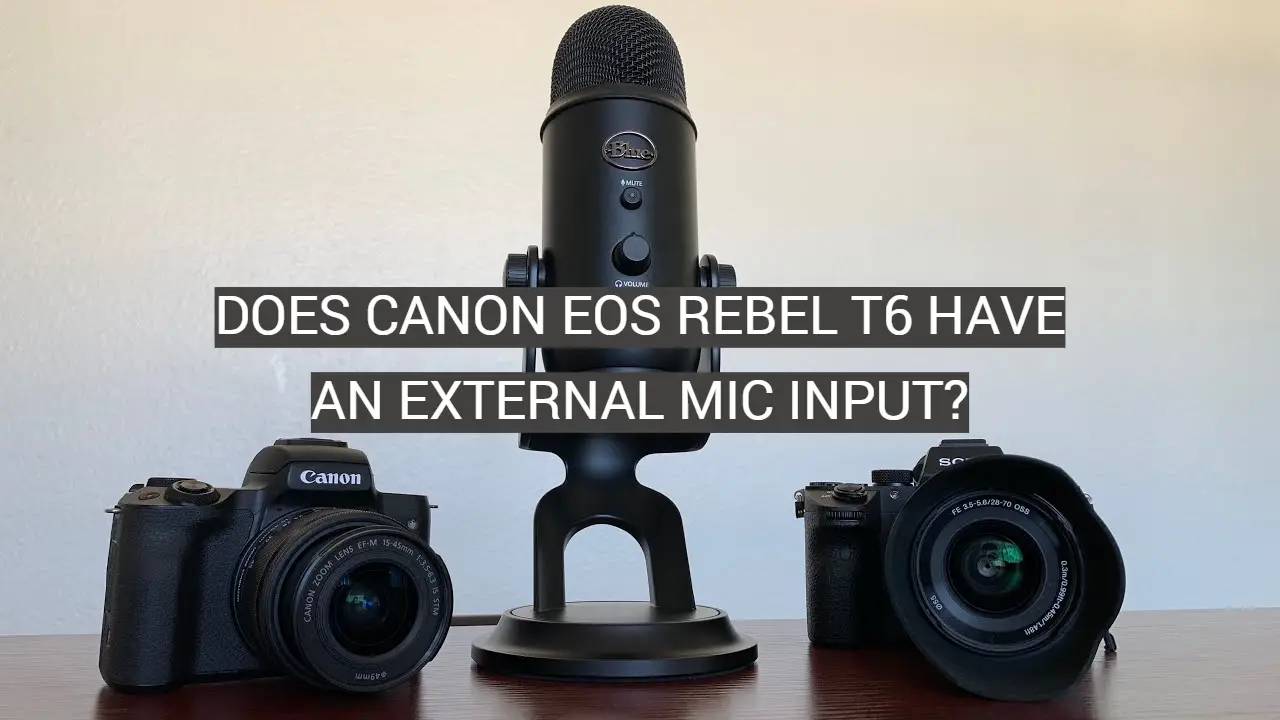Does Canon EOS Rebel T6 Have An External Mic Input?