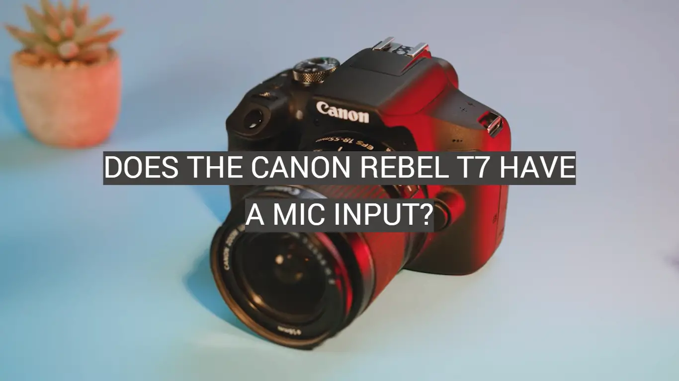 Does the Canon Rebel T7 Have a Mic Input?