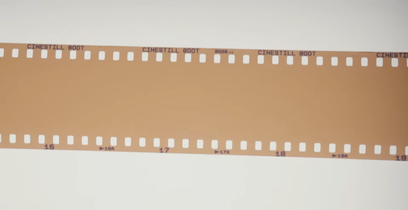 How Long Can Film Stay in a Camera? FotoProfy