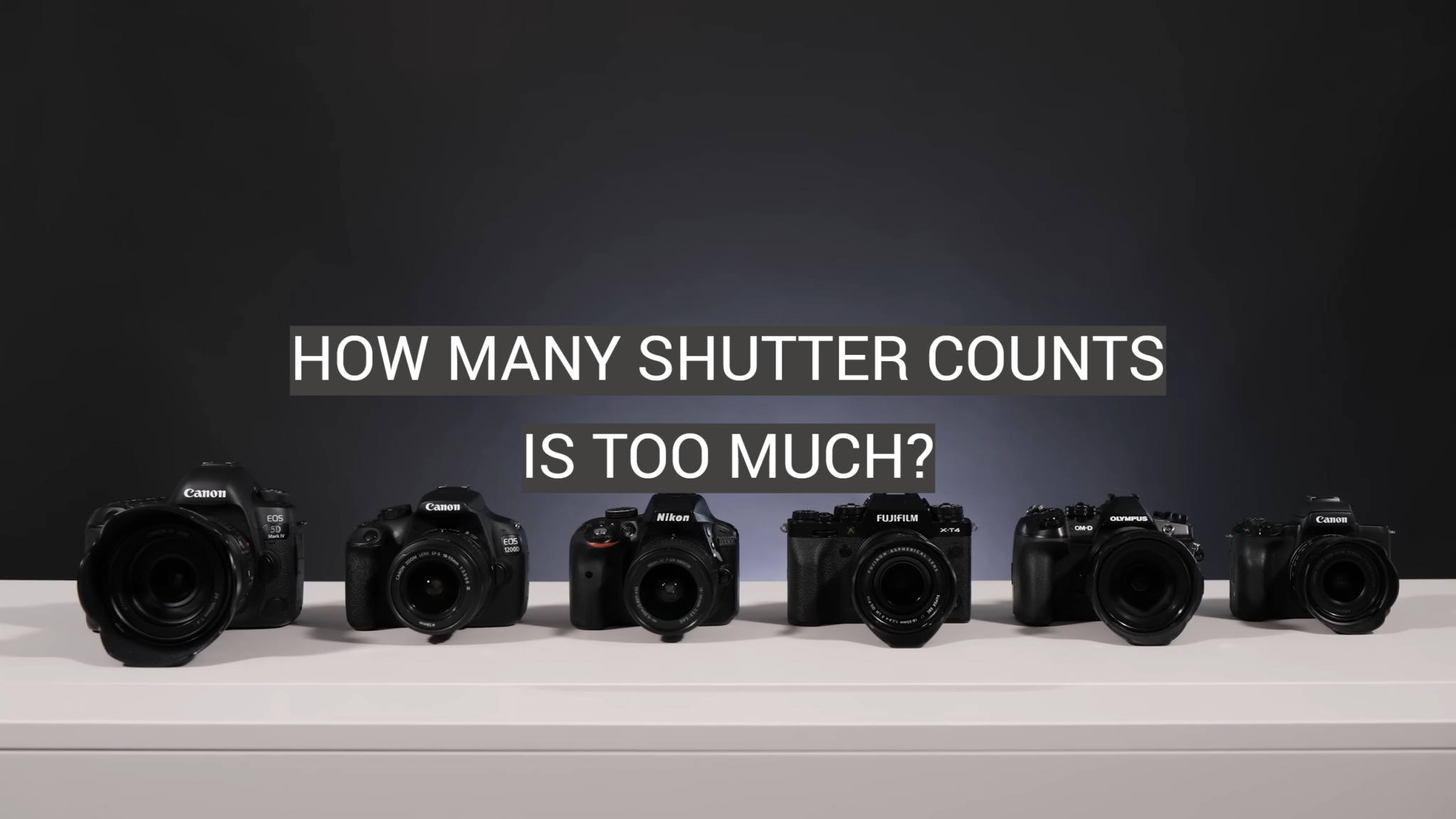How Many Shutter Counts Is Too Much? FotoProfy