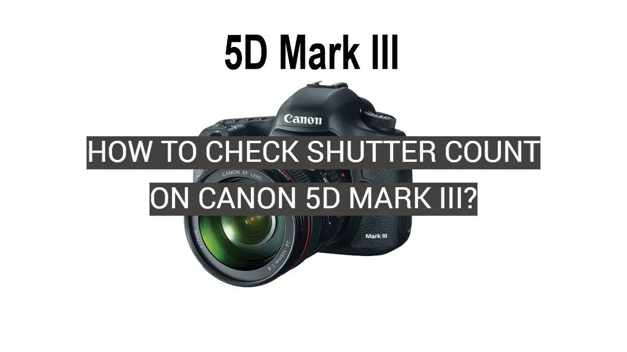 How to Check Shutter Count on Canon 5D Mark III?
