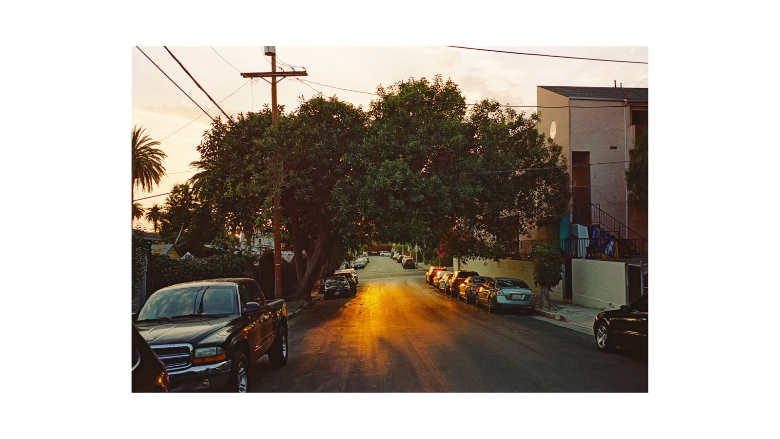 How to Develop Film at Home Without Chemicals? FotoProfy