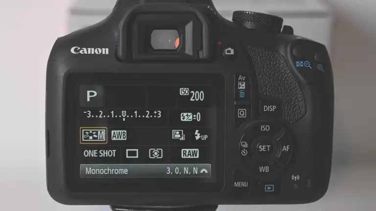 How to Turn On Flash on Canon Camera? - FotoProfy