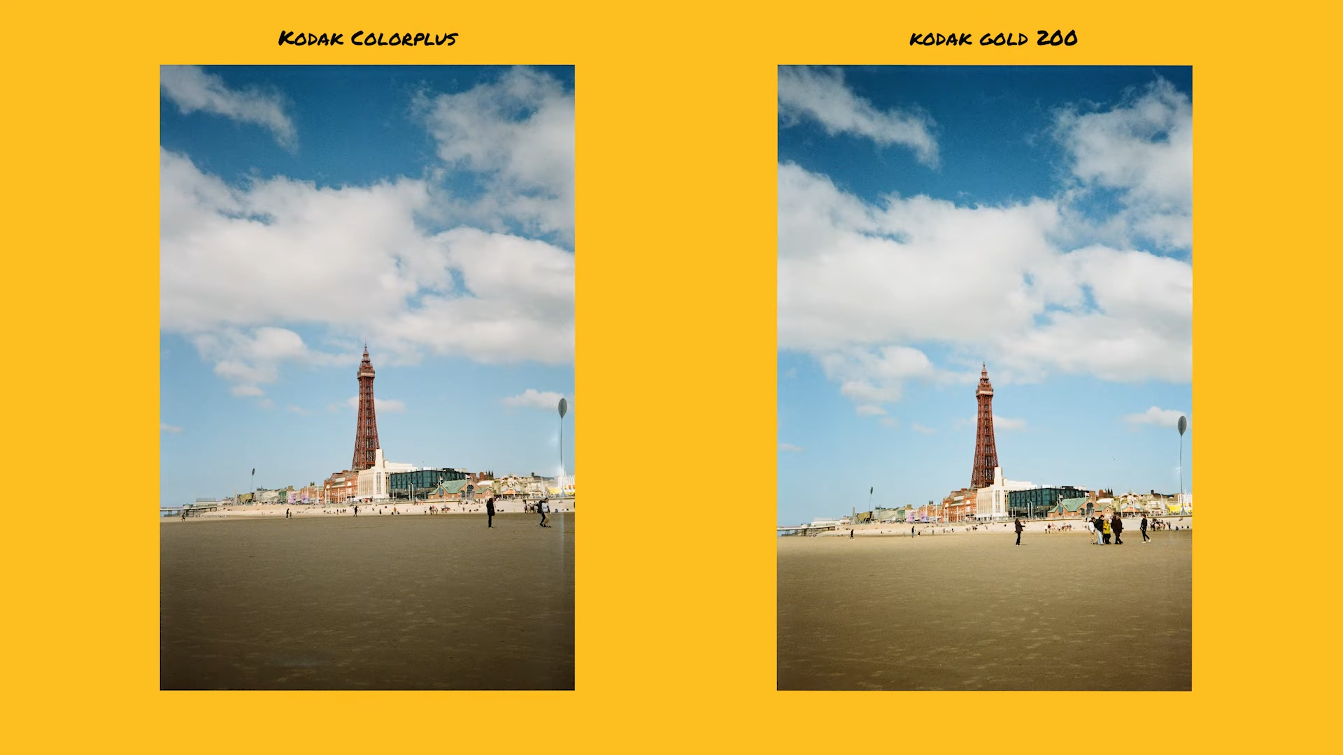 Kodak Gold vs. Colorplus Which is Better? FotoProfy