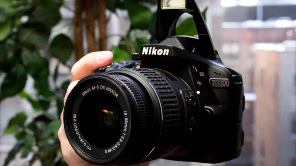 Alternatives to the Nikon D3300 and D60