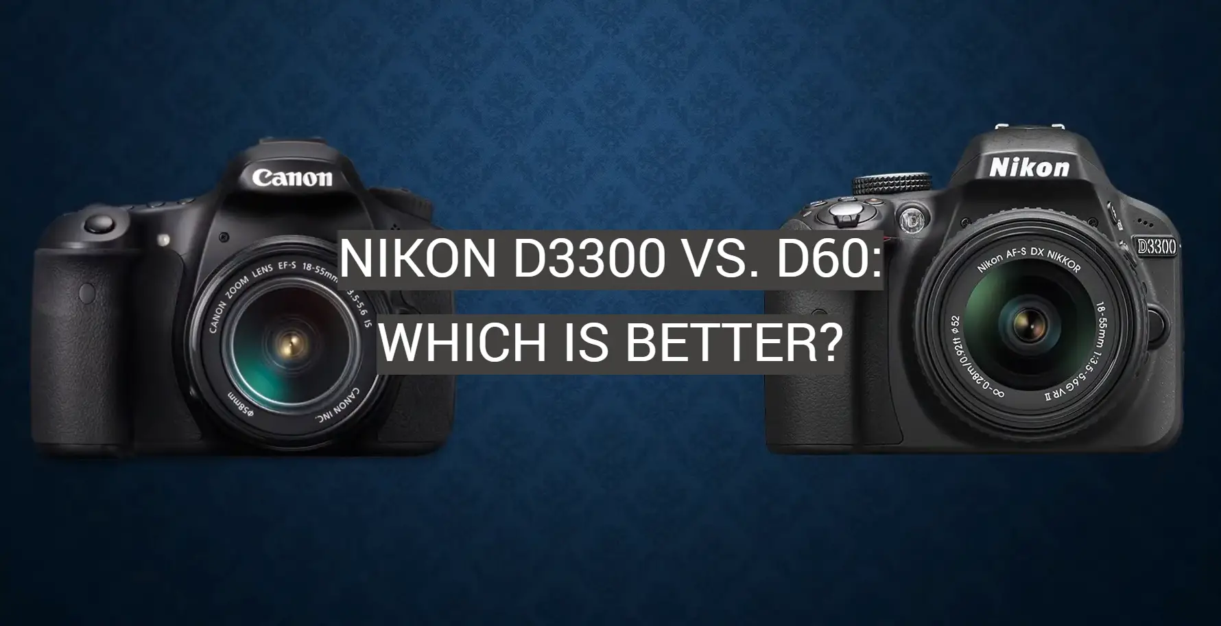 Nikon D3300 vs. D60: Which is Better?