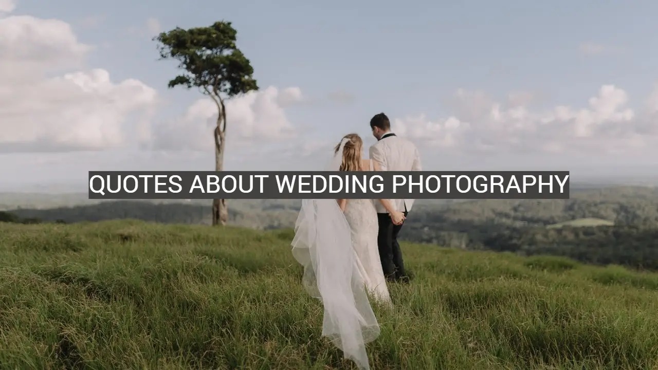 Quotes About Wedding Photography