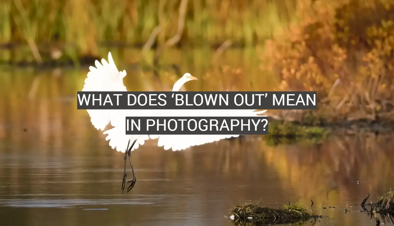 What Does ‘Blown Out’ Mean in Photography?