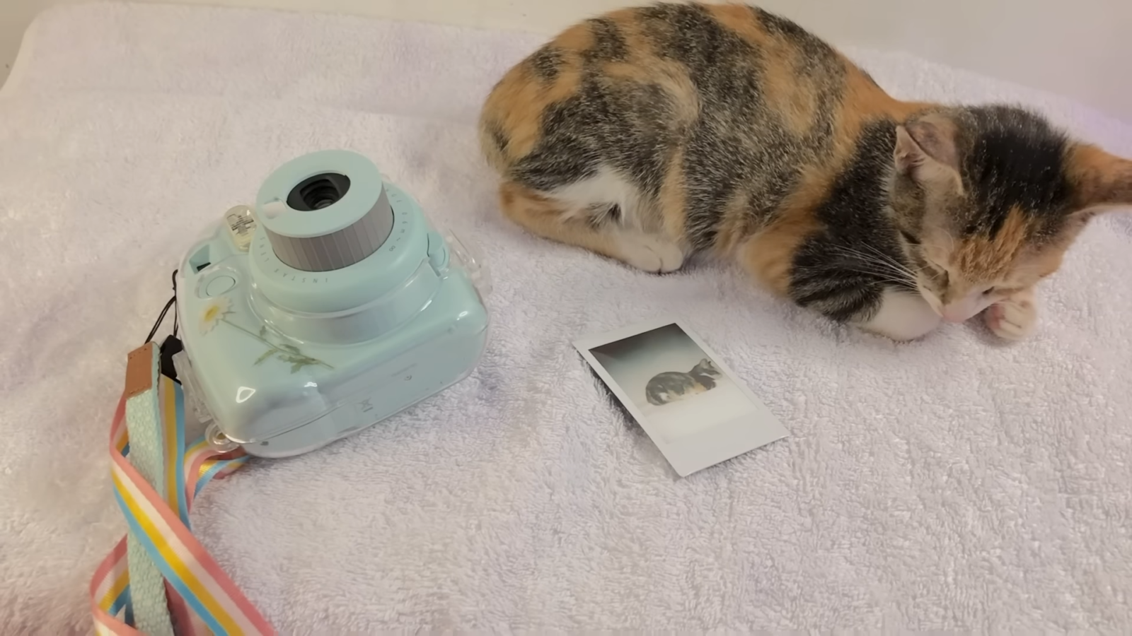 What Does S Mean on a Polaroid Camera? - FotoProfy