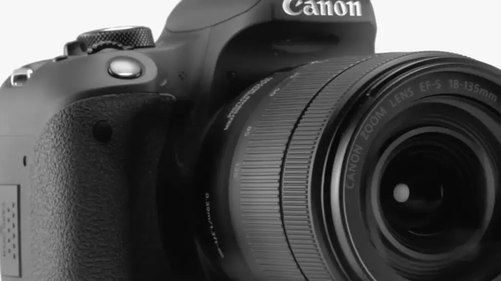 Types of Lenses That Fit Canon Rebel T7