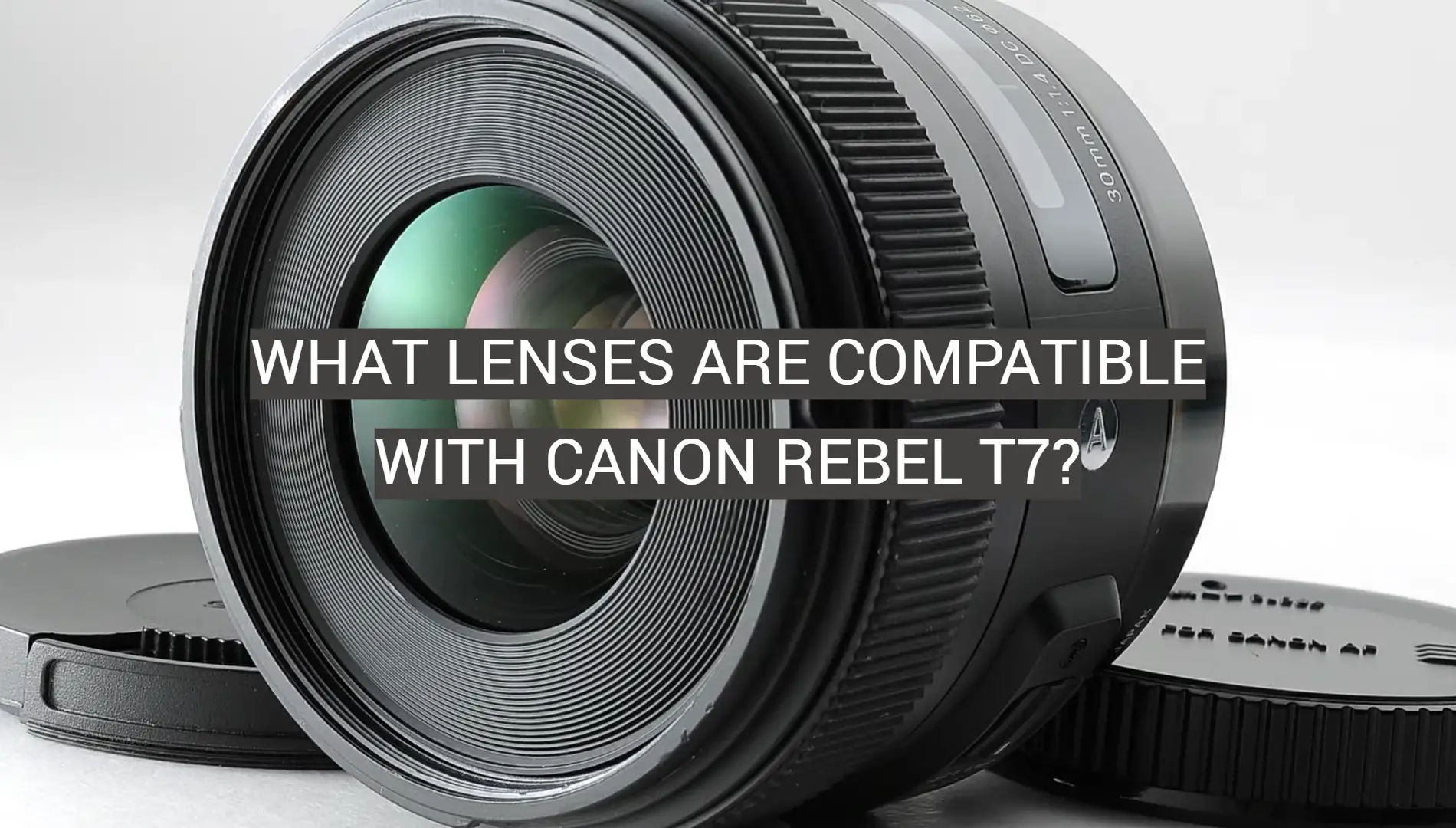 What Lenses Are Compatible With Canon Rebel T7?