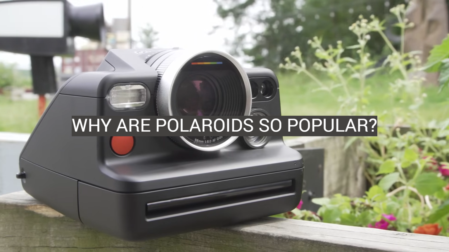 Why Are Polaroids So Popular? FotoProfy