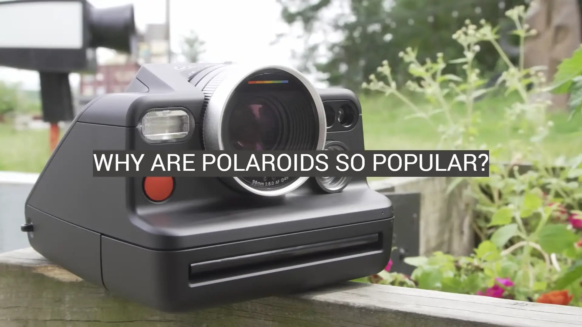 Why Are Polaroids So Popular?