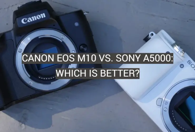 Canon vs. Sigma Lenses What’s the Difference? FotoProfy