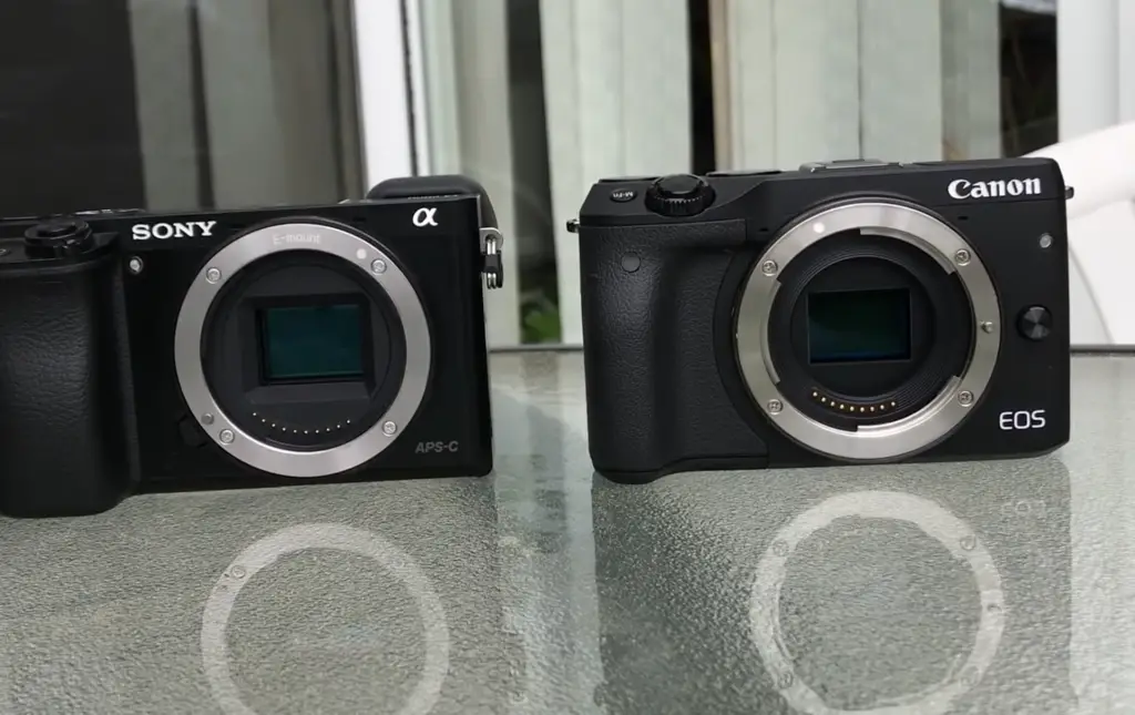Criteria to compare Canon EOS M3 and Sony a6000 cameras