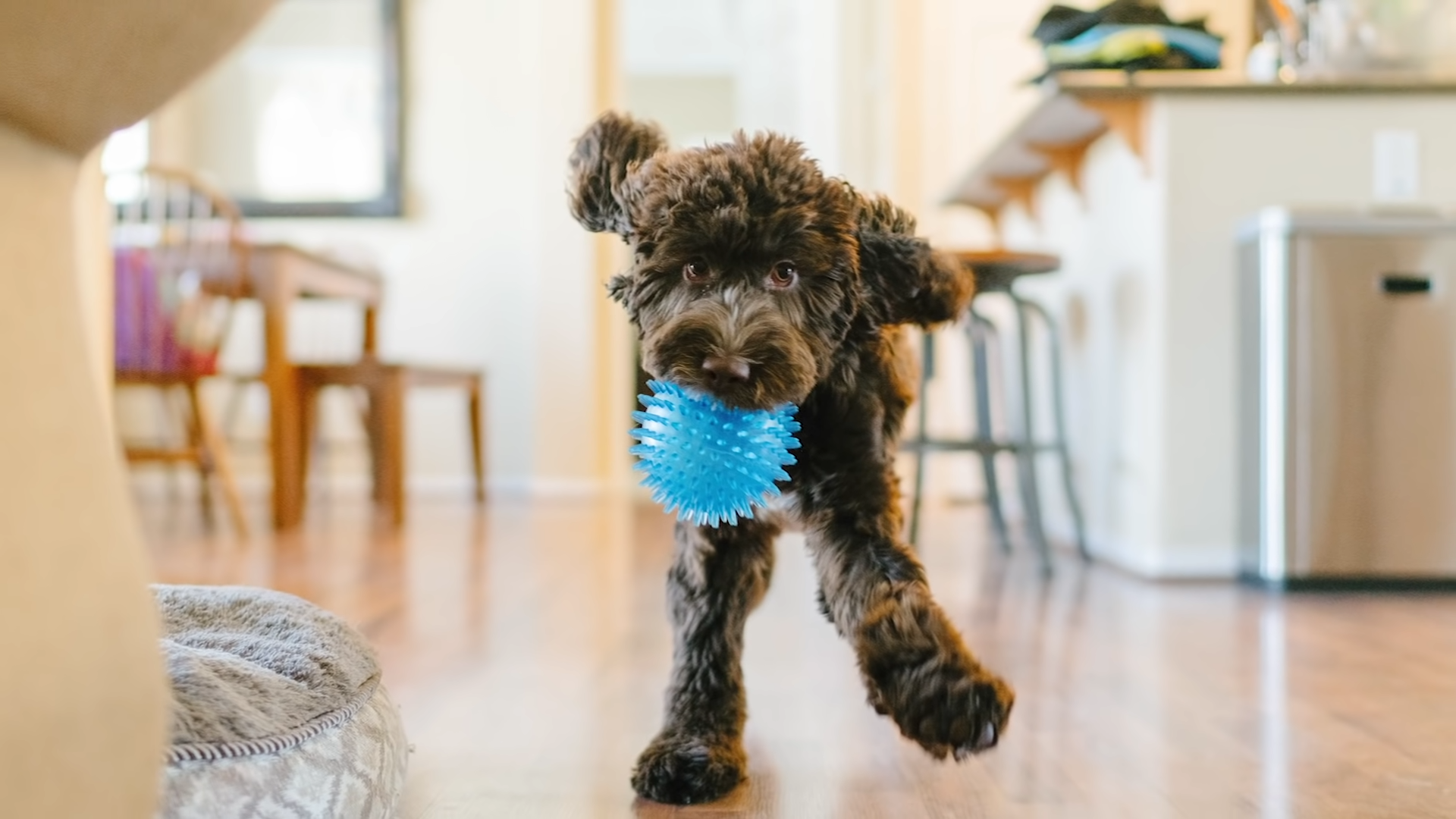 How Long Do Photographers Take To Edit Photos? FotoProfy