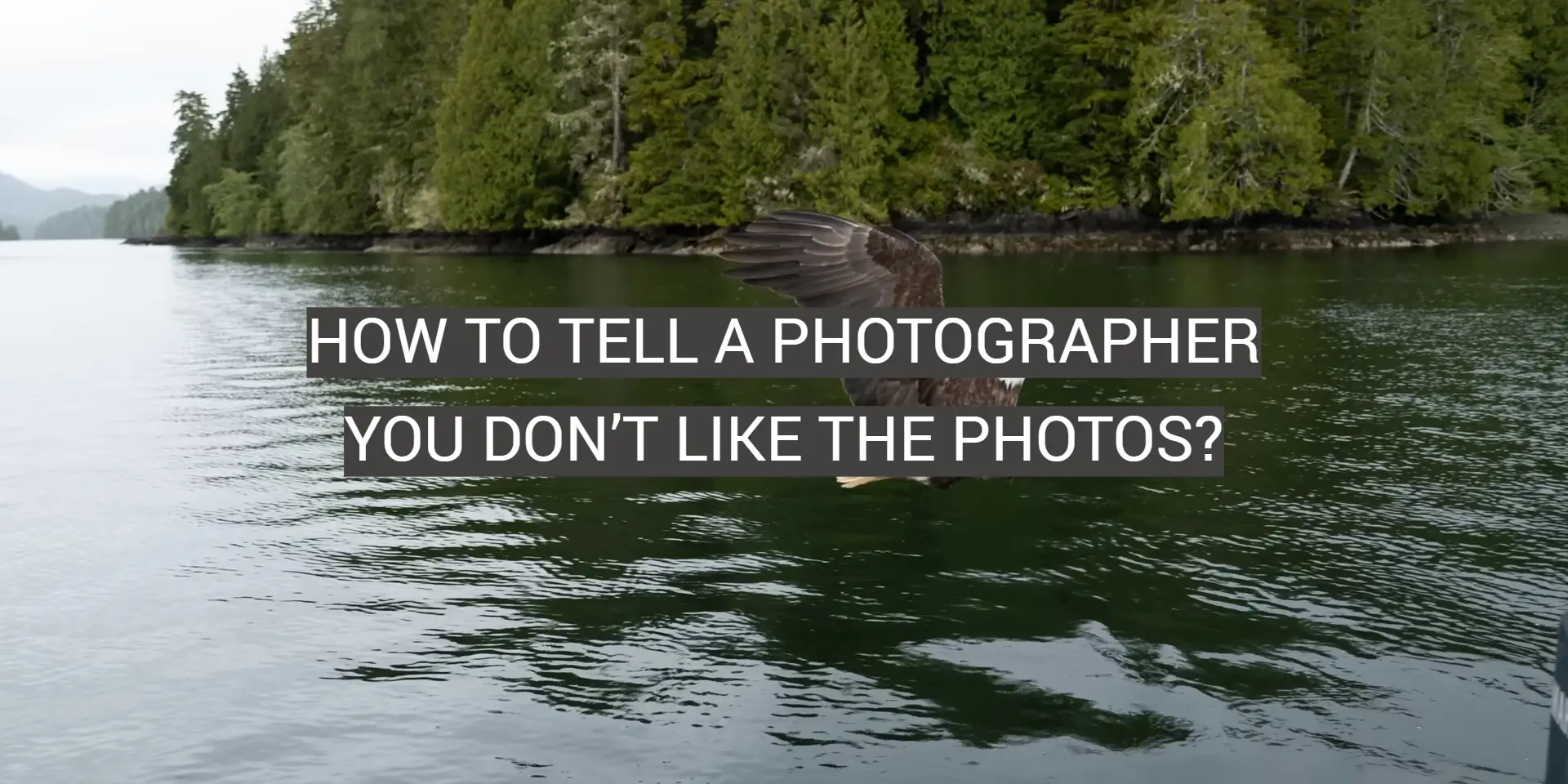 How to Tell a Photographer You Don’t Like the Photos?