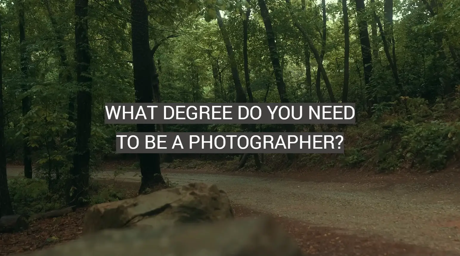 What Degree Do You Need to Be a Photographer?